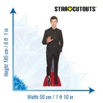 CS657 Shawn Mendes 'Red Carpet' (Canadian SingerSongwriter) Lifesize + Mini Cardboard Cutout Standee Size