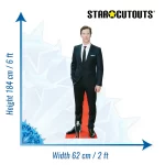 CS726 Benedict Cumberbatch 'Red Carpet' (English Actor) Lifesize + Mini Cardboard Cutout Standee Size