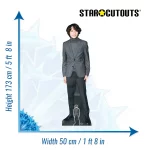 CS738 Finn Wolfhard 'Grey Suit' (Canadian Actor) Lifesize + Mini Cardboard Cutout Standee Size