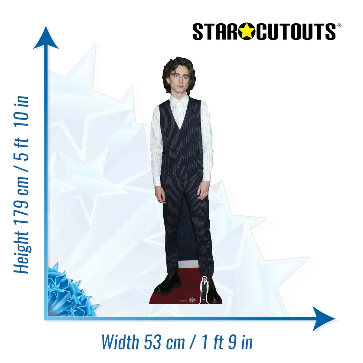CS817 Timothée Chalamet 'Waistcoat' (American Actor) Lifesize + Mini Cardboard Cutout Standee Size
