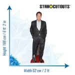 CS832 Arnold Schwarzenegger (AustrianAmerican Actor) Lifesize + Mini Cardboard Cutout Standee Size