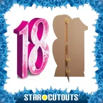 SC629 Pink Number 18 Large Cardboard Cutout Standee Frame